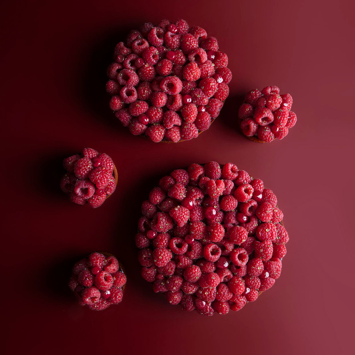 Raspberry Tart